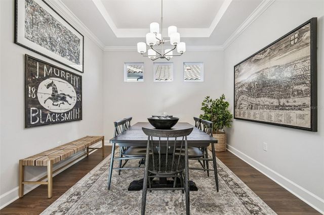 4399 ROSATTI ROAD, Wesley Chapel, FL 33543