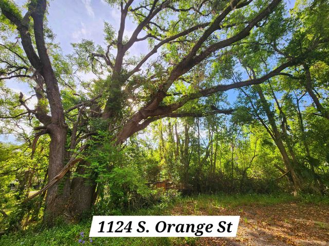 1124 S ORANGE Street, Perry, FL 32348