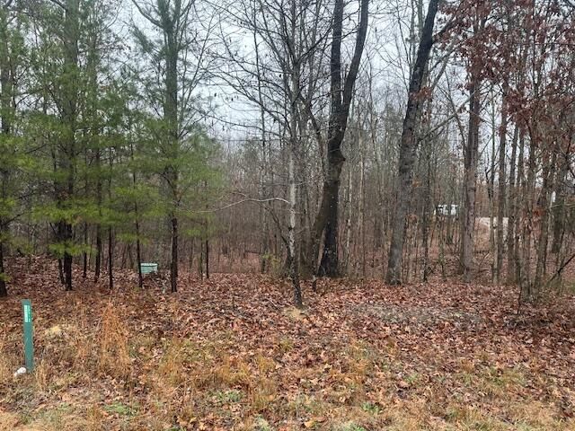2080 Teludachee Trail Lot 176, South Pittsburg, TN 37380