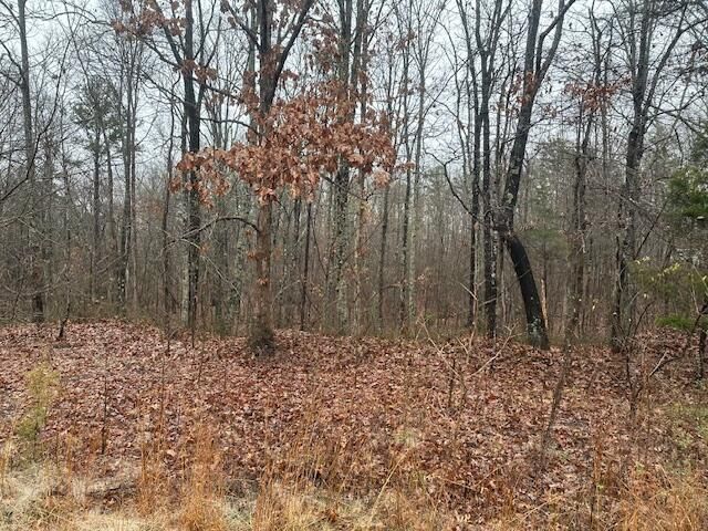 2080 Teludachee Trail Lot 176, South Pittsburg, TN 37380