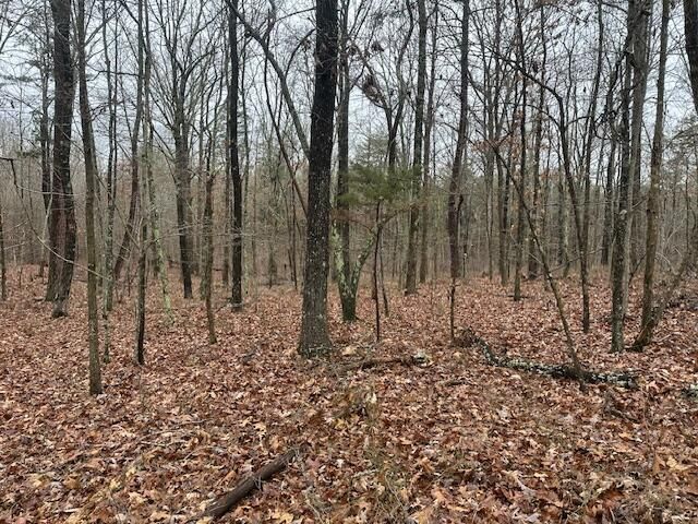 2080 Teludachee Trail Lot 176, South Pittsburg, TN 37380