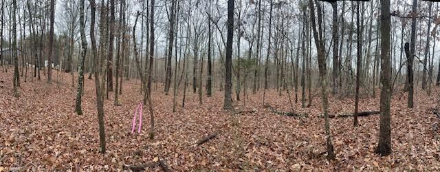 2080 Teludachee Trail Lot 176, South Pittsburg, TN 37380