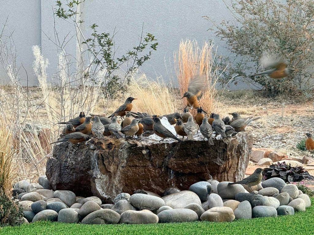 Image 37 of property listing at 5731 Venada Court NE, Rio Rancho, NM 87144