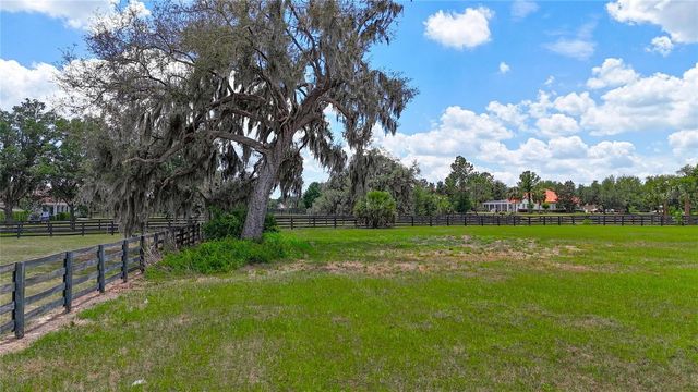 12325 STONELAKE RANCH BOULEVARD, Thonotosassa, FL 33592