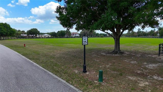 12325 STONELAKE RANCH BOULEVARD, Thonotosassa, FL 33592