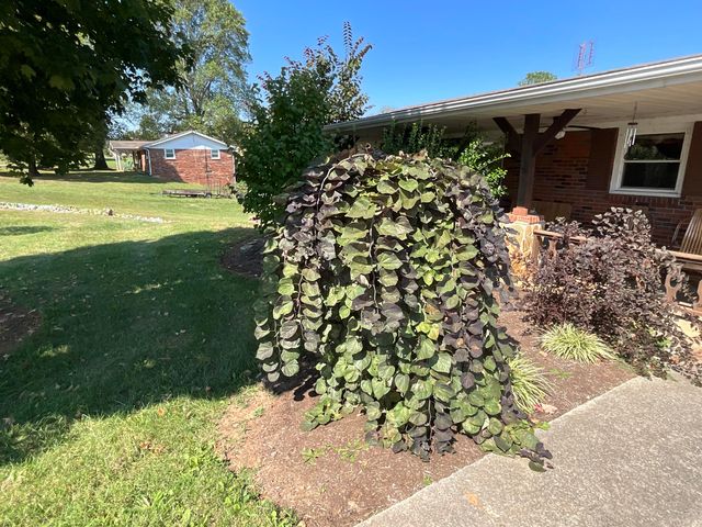 300 E Langdon Road, Science Hill, KY 42553