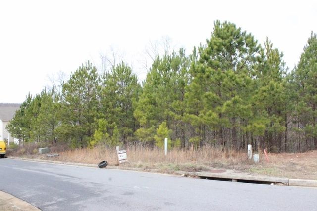 2 Lots Village Lane, Woodstock, GA 30188