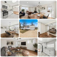 10410 Ewell Drive, St Louis, MO 63137