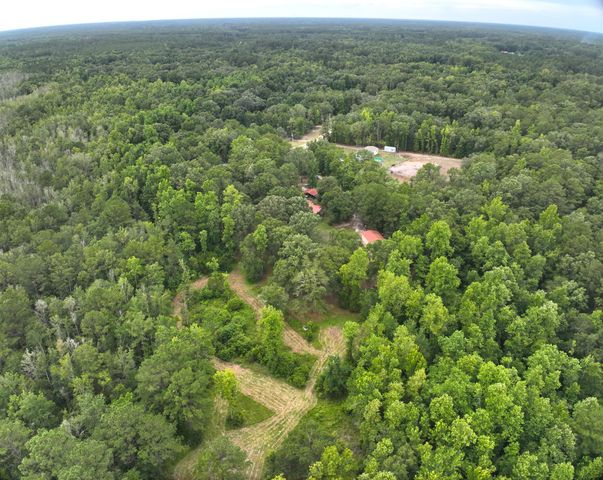 349 Bird Dog Lane, Cottageville, SC 29435