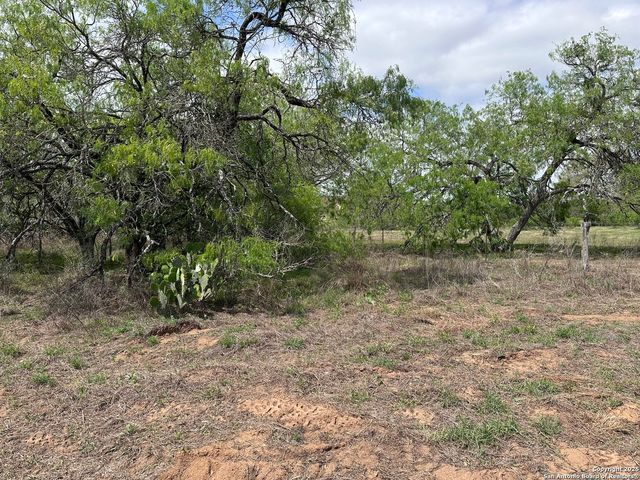552 County Road 423, Stockdale, TX 78160