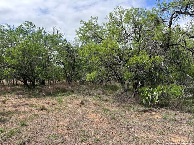 552 County Road 423, Stockdale, TX 78160