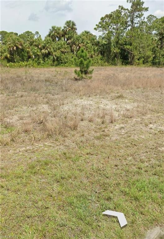918 medford AVE S, LEHIGH ACRES, FL 33974 — photo 3