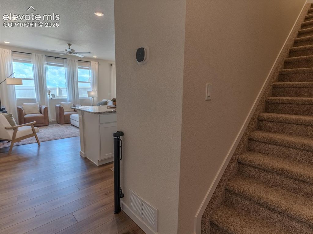 8290 Grey Bark Way, Colorado Springs, CO 80908 — photo 5