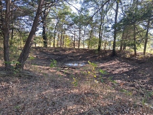 1071 CR 2205, Ivanhoe, TX 75447