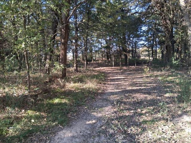 1071 CR 2205, Ivanhoe, TX 75447