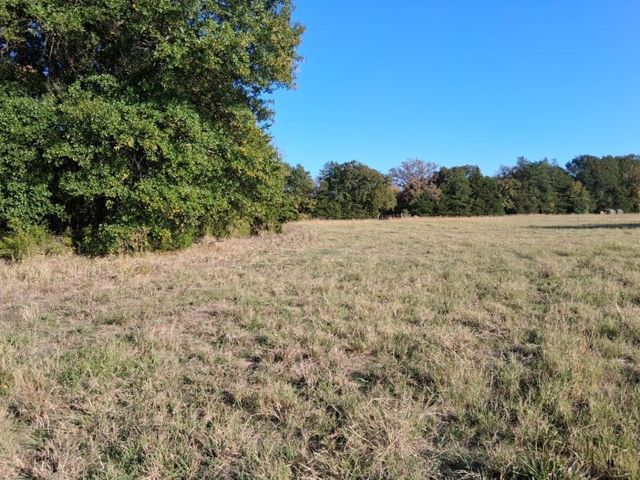 1071 CR 2205, Ivanhoe, TX 75447