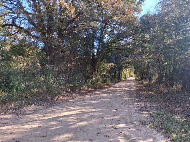 1071 CR 2205, Ivanhoe, TX 75447