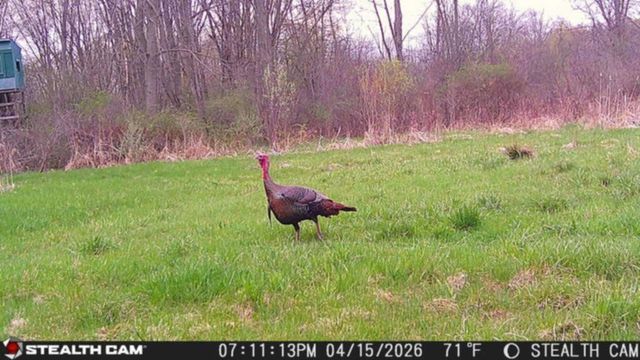 5718 N 20th Street, Kalamazoo, MI 49004