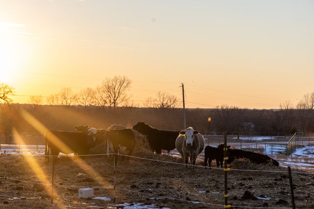 189 Nautilus Court, Decatur, TX 76234