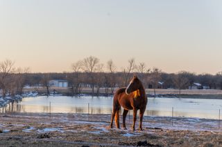 189 Nautilus Court, Decatur, TX 76234