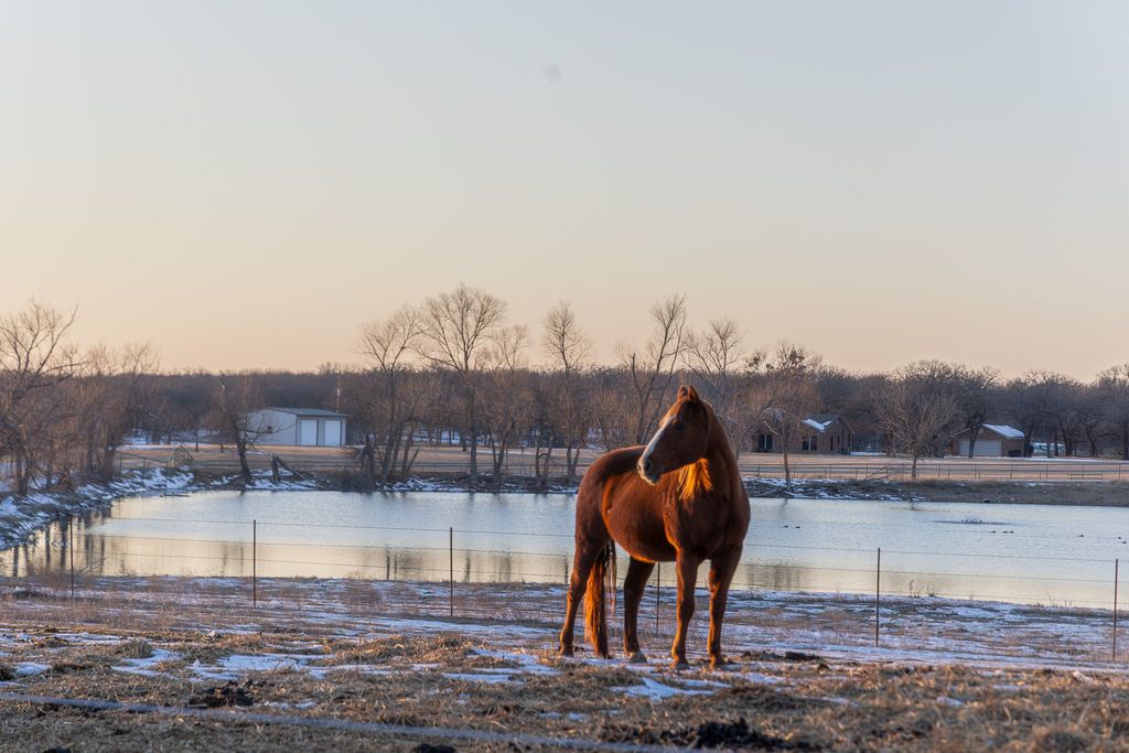 189 Nautilus Court, Decatur, TX 76234