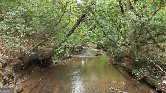 1582 Jennys Cove Road, Cleveland, GA 30528