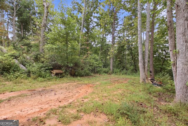 1582 Jennys Cove Road, Cleveland, GA 30528