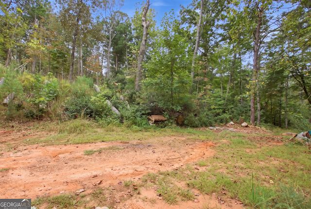 1582 Jennys Cove Road, Cleveland, GA 30528
