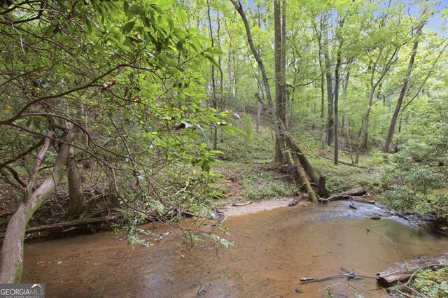 1582 Jennys Cove Road, Cleveland, GA 30528