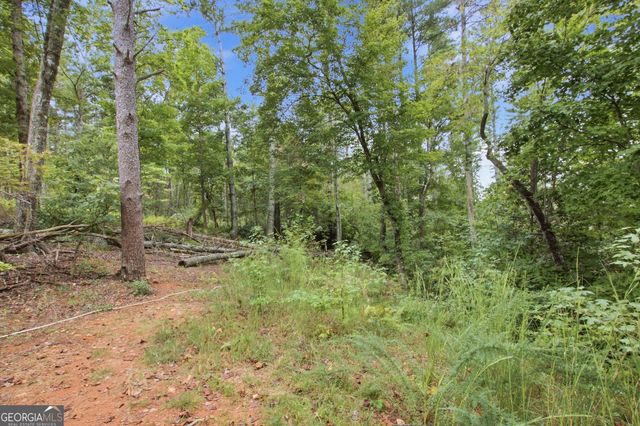 1582 Jennys Cove Road, Cleveland, GA 30528