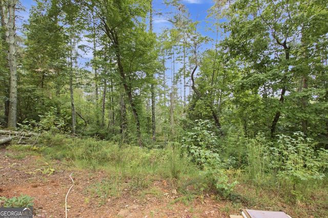 1582 Jennys Cove Road, Cleveland, GA 30528