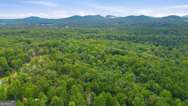 1582 Jennys Cove Road, Cleveland, GA 30528