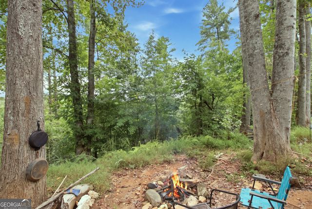 1582 Jennys Cove Road, Cleveland, GA 30528