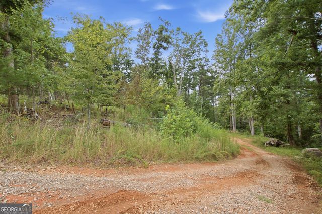 1582 Jennys Cove Road, Cleveland, GA 30528
