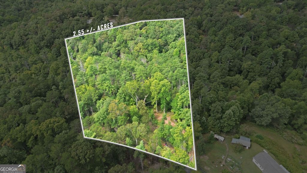 1582 Jennys Cove Road, Cleveland, GA 30528