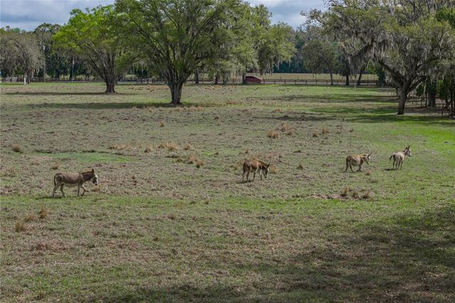 15131 BELLAMY BROTHERS BOULEVARD, Dade City, FL 33525