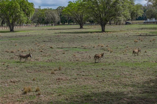 15131 BELLAMY BROTHERS BOULEVARD, Dade City, FL 33525