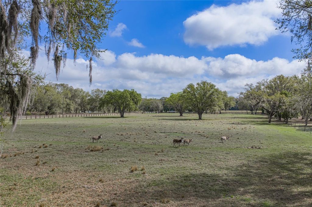 Image 89 of property listing at 15131 BELLAMY BROTHERS BOULEVARD, Dade City, FL 33525