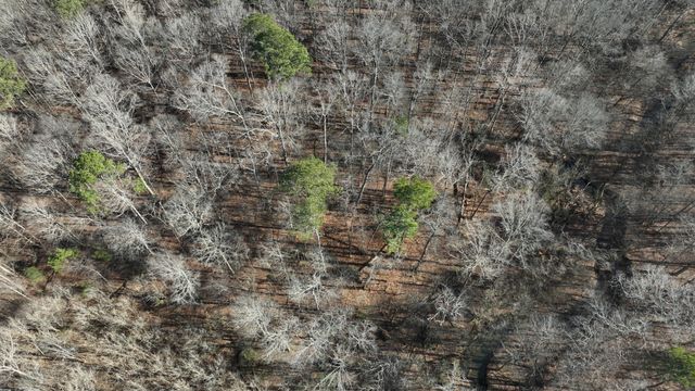 0 Poindexter Drive SE, Cleveland, TN 37323