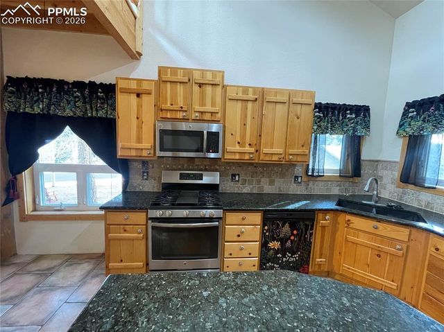 311 Panther Court, Woodland Park, CO 80863