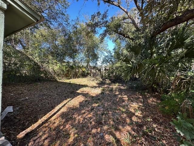 1125 PHELPS STREET, Jacksonville, FL 32206