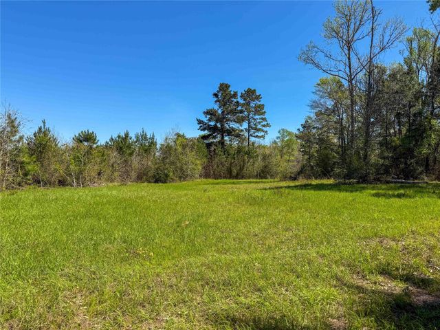 TBD Fm 946, Coldspring, TX 77331