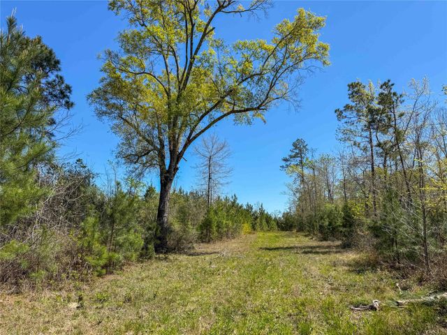 TBD Fm 946, Coldspring, TX 77331