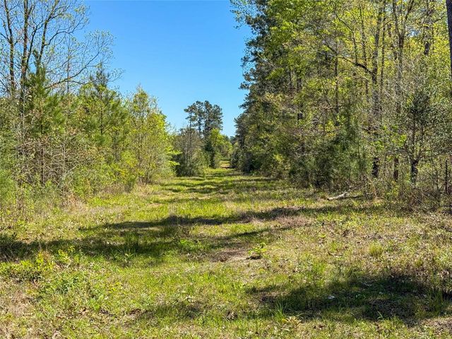 TBD Fm 946, Coldspring, TX 77331