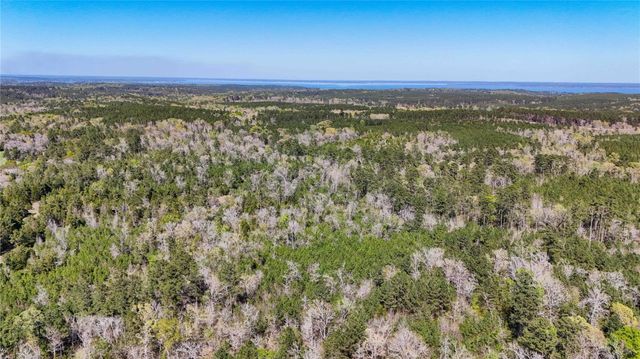 TBD Fm 946, Coldspring, TX 77331