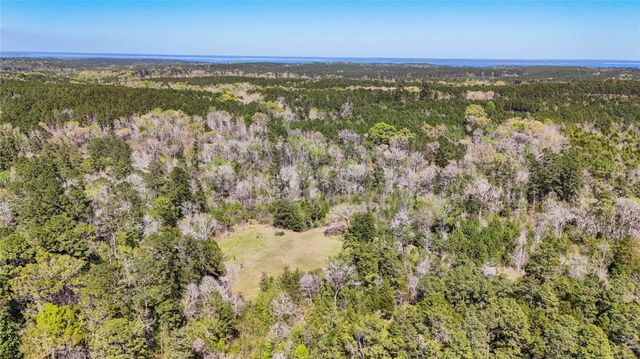 TBD Fm 946, Coldspring, TX 77331