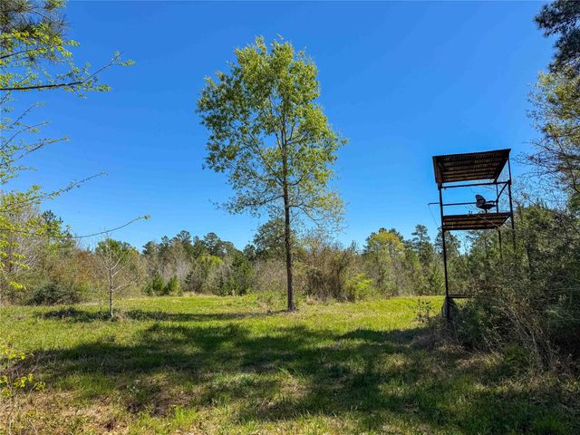 TBD Fm 946, Coldspring, TX 77331