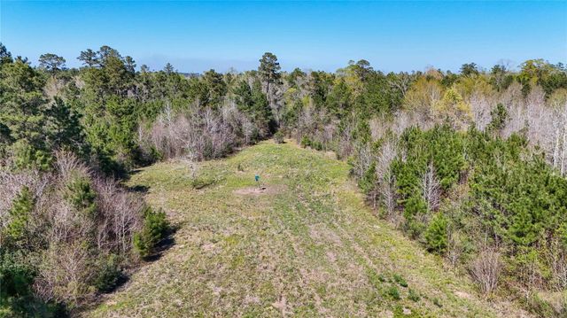 TBD Fm 946, Coldspring, TX 77331