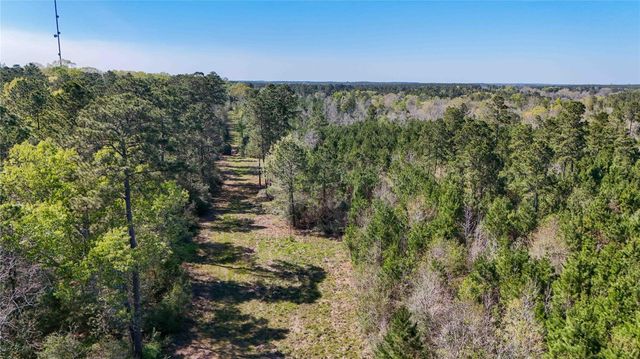 TBD Fm 946, Coldspring, TX 77331