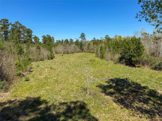 TBD Fm 946, Coldspring, TX 77331